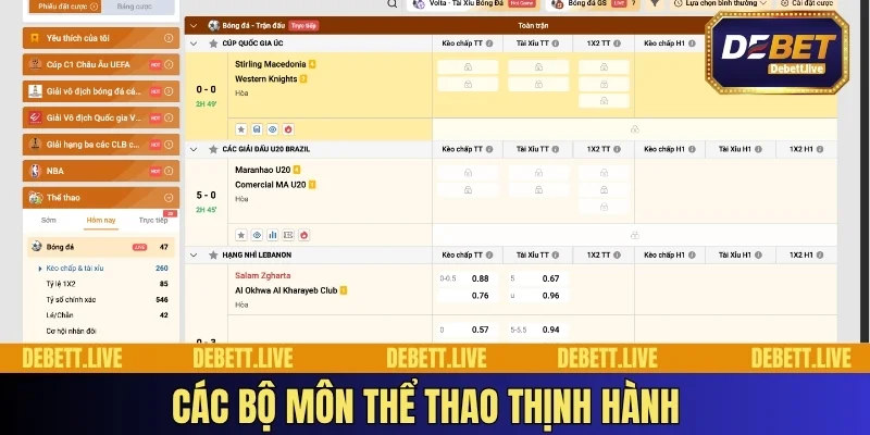 cac-bo-mon-the-thao-thinh-hanh